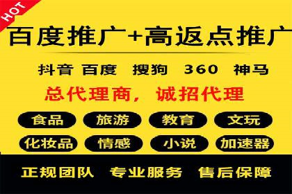 谷歌SEM广告投放策略解析：一家旅游公司的成功案例